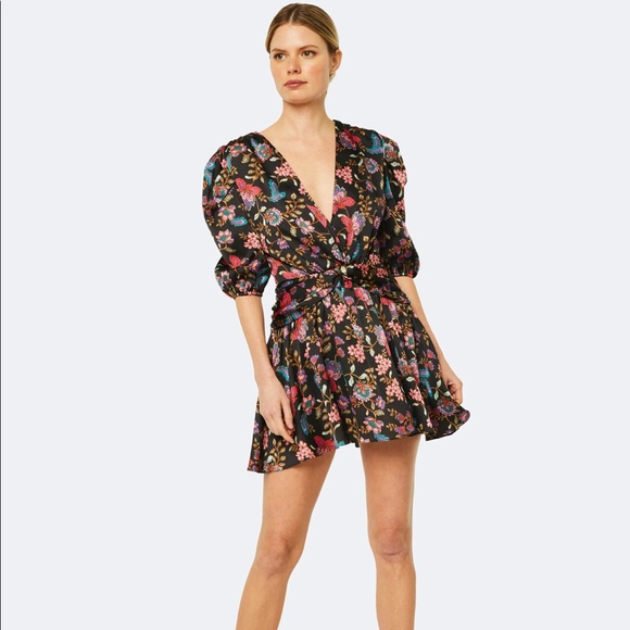 NWT! MISA Los Ángeles Narcissa Dress - Picture 4 of 6